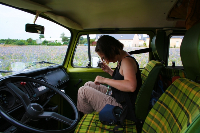 View from driving seat